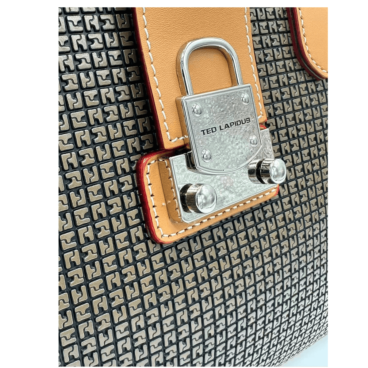 Détail fermoir métallique du sac Fidelio Ted Lapidus TL08382